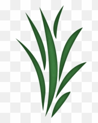 Free Weed Grass Cliparts Download Free Clip Art Free Clip - Transparent Background Clip Art Seaweed Emoji,Weed Plant Emoji