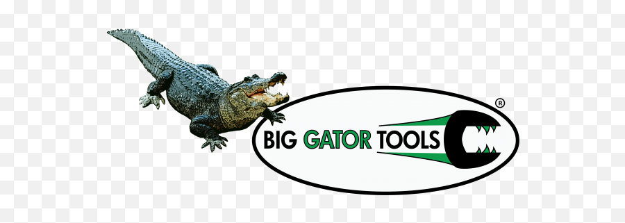 Big Gator - Big Gator Tools Emoji,Alligator Emoticon