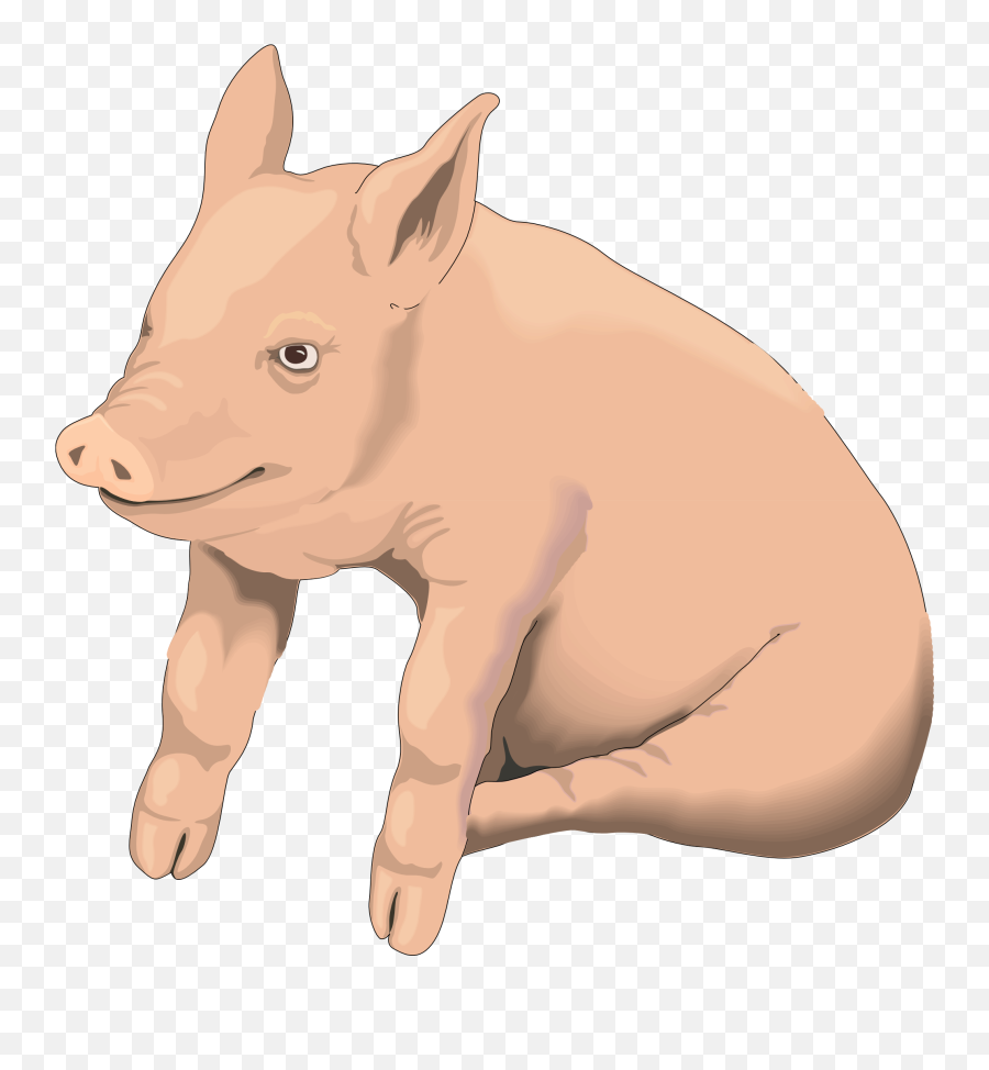 Free Transparent Pig Download Free Clip Art Free Clip Art - Pig Clipart With Transparent Background Emoji,Piglet Emoticon