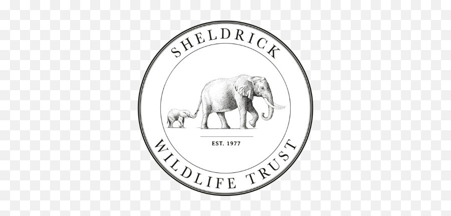 Hello In Elephant - Sheldrick Wildlife Trust Logo Emoji,Elephant Emoji