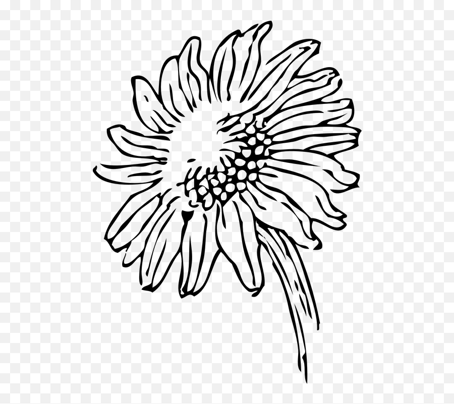 Free Sunflower Flower Illustrations - Transparent Sunflower Clipart Black And White Emoji,Sunflower Emoji