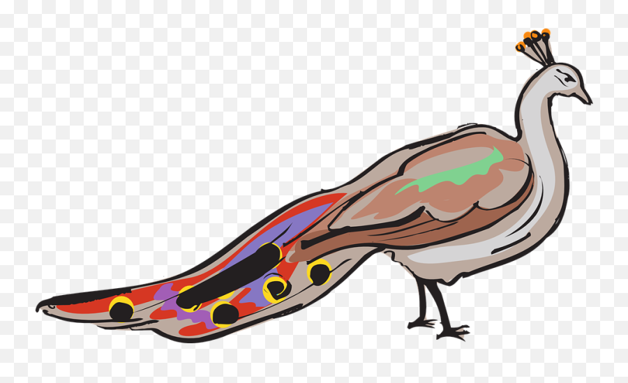 Free Peacock Bird Vectors - Burung Merak Vektor Emoji,Bird Emoticon