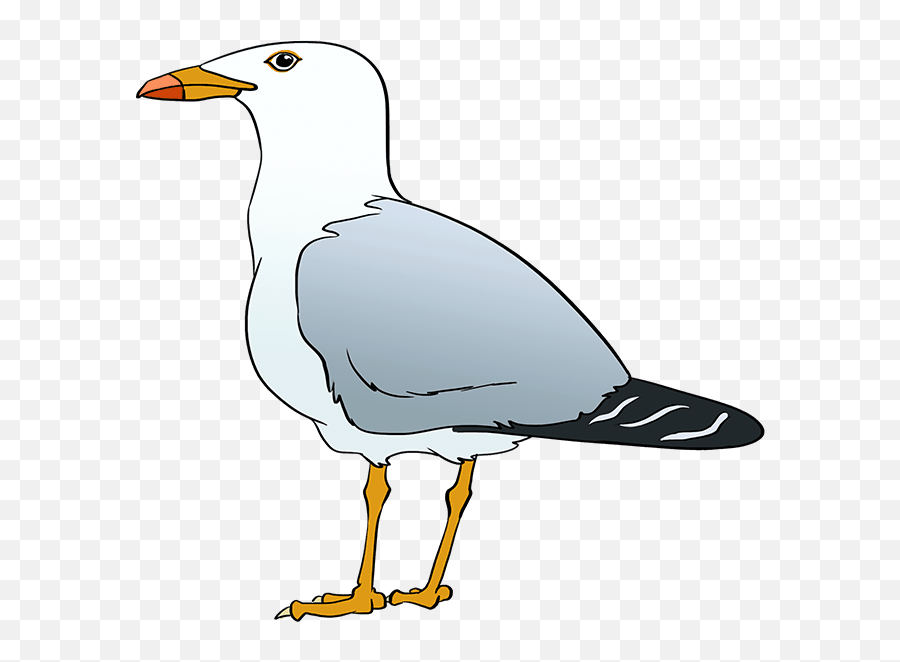 How To Draw A Seagull - Seagull Drawing Emoji,Seagull Emoji