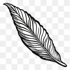 Quill Clipart Black And White Png - Transparent Feather Outline Png Emoji,Quill Emoji