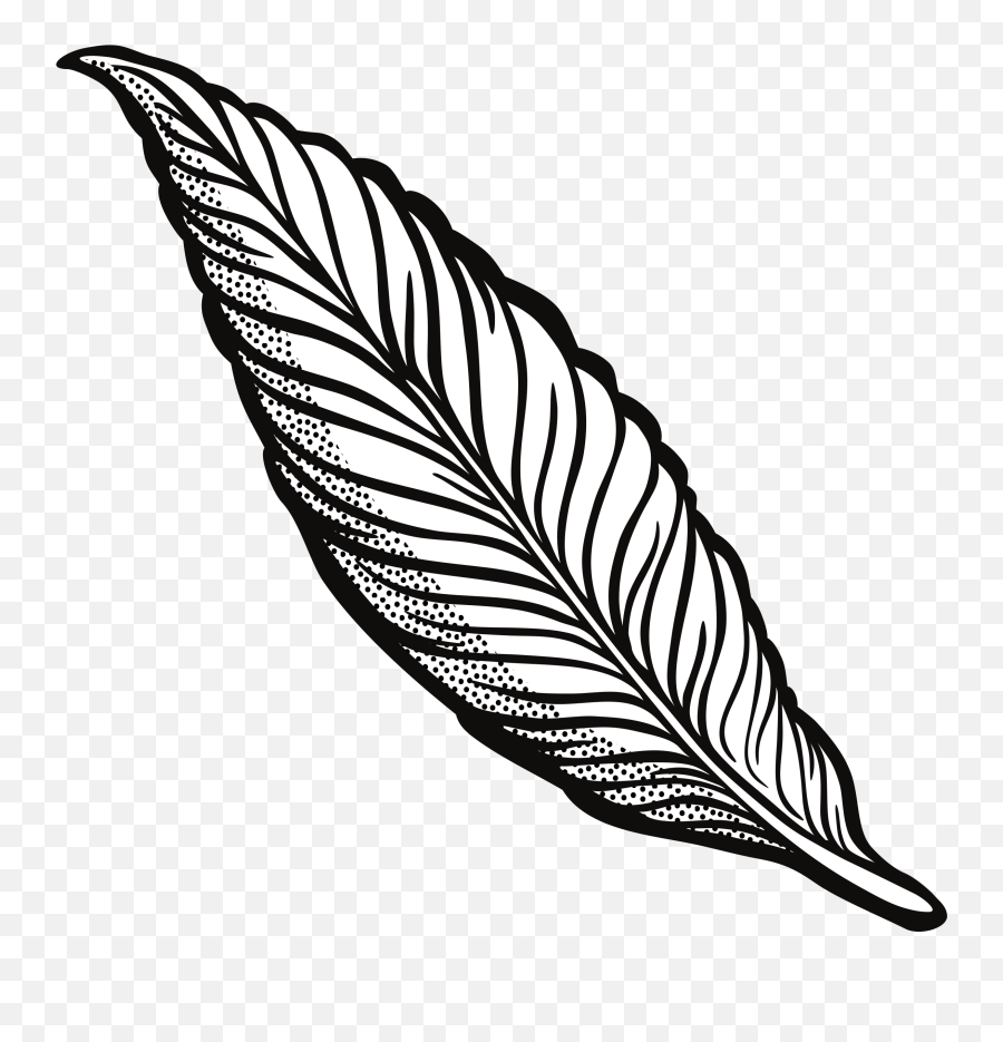 Quill Clipart Black And White Png - Transparent Feather Outline Png Emoji,Quill Emoji