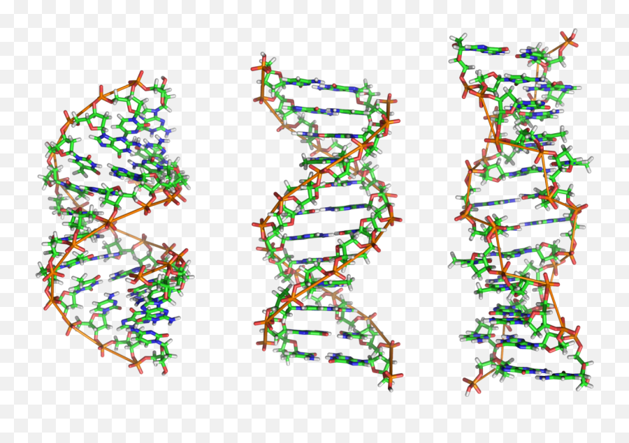 At The Rim 011019 - 011119 Dna B Dna Z Dna Emoji,Hearing Aid Emoji