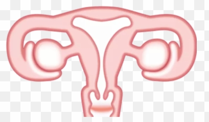 Worlds First Vagina Emoji Revealed To - Png