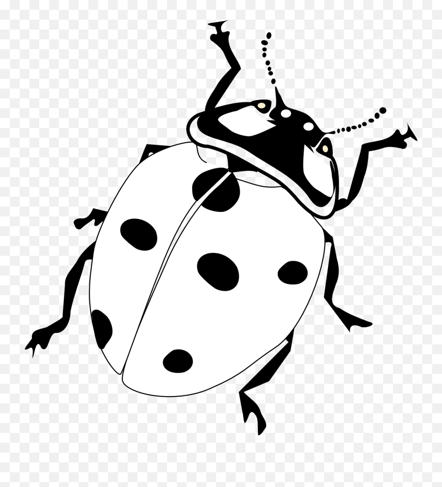 Clipart Animals Insect Transparent - Realistic Ladybug Coloring Page Emoji,Zzz Ant Ladybug Ant Emoji
