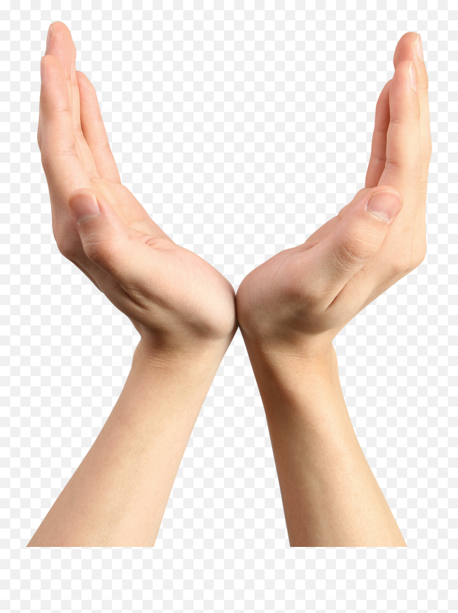 Skin Clipart Open Hand Skin Open Hand Transparent Free For - Open Hands Transparent Background Emoji,Two Hands Emoji