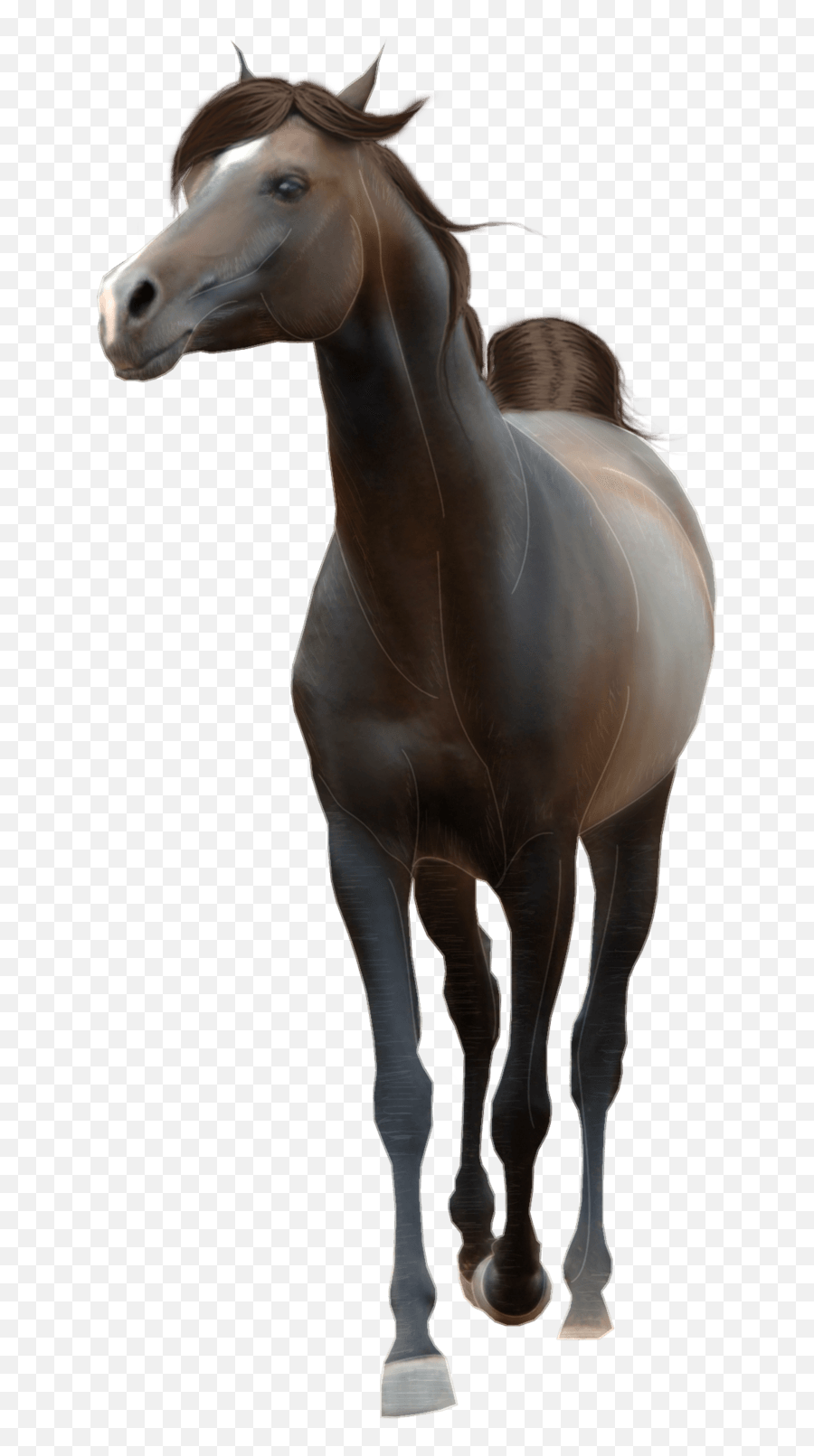 Download Horse Png Image Hq Png Image - Transparent Background Horse Png Emoji,Emoji Horse Plane
