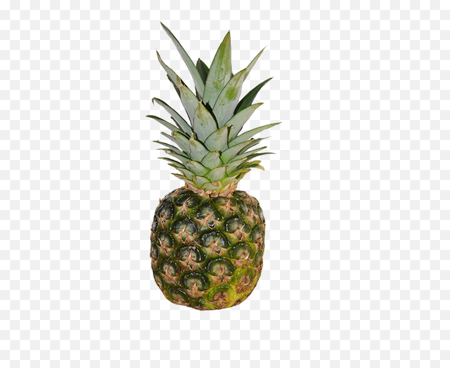 Pineapple Emoji Fruit Emoticon Brighton - Big Pineapple Emoji,Pineapple Emoji