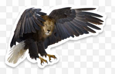 Animal Mashup Stickers By Kevin Crowe - Bald Eagle Emoji,Bald Eagle Emoji
