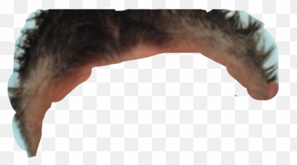 Largest Collection Of Free - Toedit Gottem Stickers On Picsart Stallion Emoji,Gottem Emoji