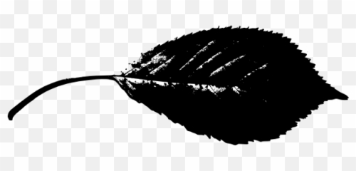 Spiky Edged Leaf Vector Image - Graphics Emoji
