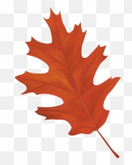 10750 Autumn Free Clipart - Autumn Leaf Png Clipart Emoji,Autumn Leaves Emoji