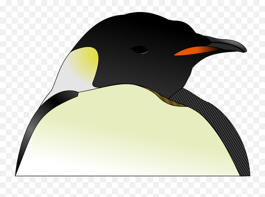 Free Arctic Penguin Vectors - Penguin Head Transparent Emoji,Gun To Head Emoji