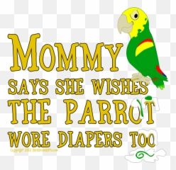 103 Best Bird Humor Images Humor Funny Birds Funny Parrots - Budgie Emoji,Parrot Emoji