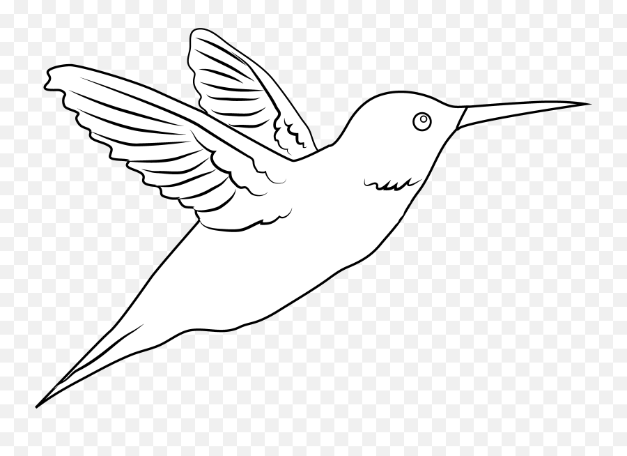 Free Hummingbird Clipart Free Download Clip Art - Webcomicmsnet Hummingbird White Png Emoji,Hummingbird Emoticon