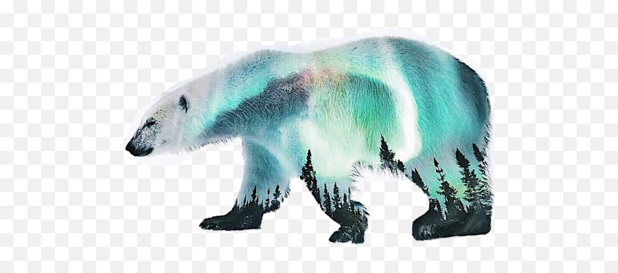 Polar Bear Sticker Challenge On Picsart - Polar Bear Emoji,Polar Bear Emoji