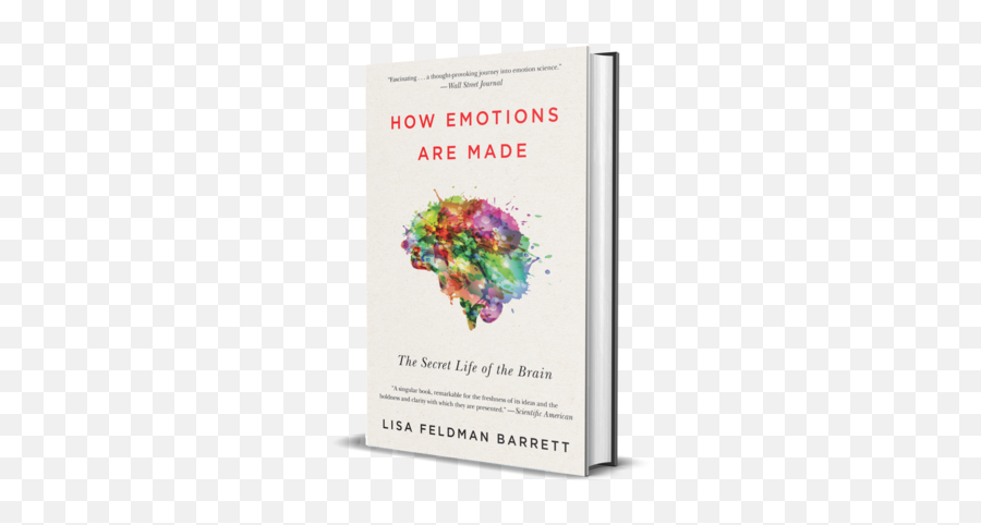 How Emotions Are Made - Emotions Are Made By Lisa Feldman Barrett Emoji,New Year Emotions