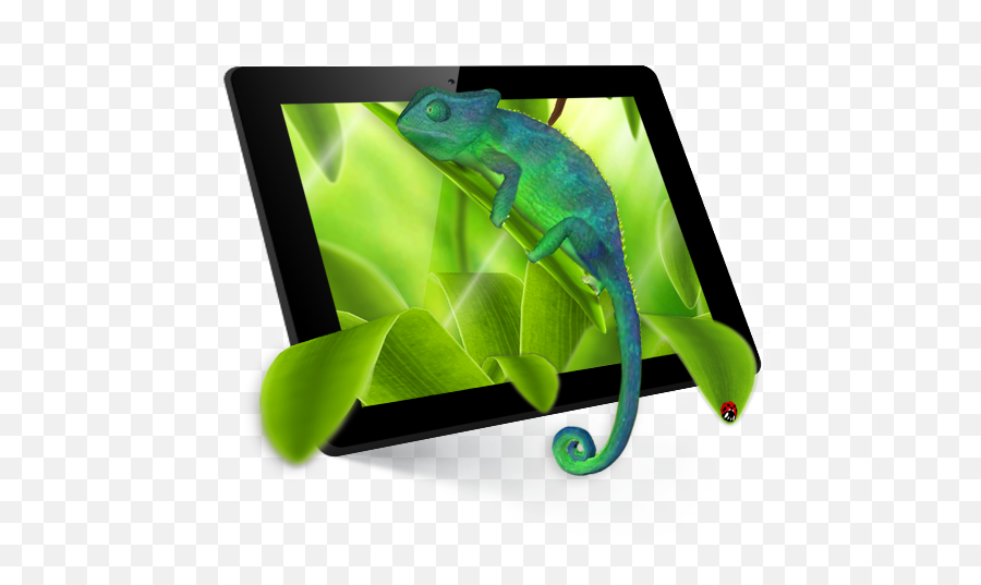 Chameleon 3d Live Wallpaper On Google Play Reviews Stats - Display Emoji,Chameleon Emoji