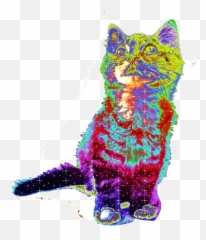 Top Trippy Cats Stickers for Android u0026 iOS Gfycat - Emoji
