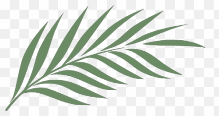 GTSport Decal Search Engine - Clipart Palm Leaf Png Emoji