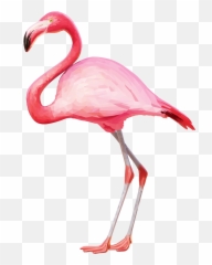 Flamingo Transparent Png Clipart Cute Flamingo Pink - Transparent Background Flamingo Transparent Emoji,Flamingo Emoji