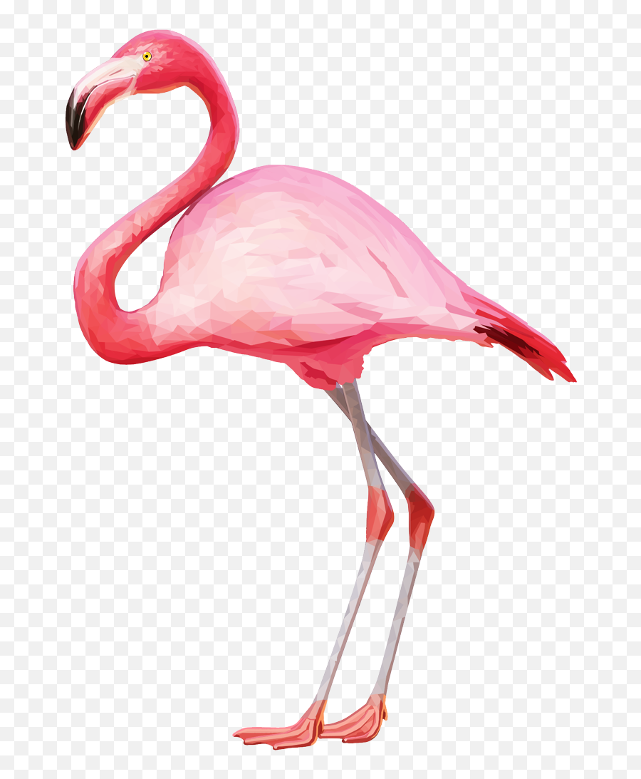 Flamingo Transparent Png Clipart Cute Flamingo Pink - Transparent Background Flamingo Transparent Emoji,Flamingo Emoji