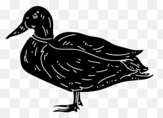 Duck Icon Images - Seaduck Emoji,Duck Emoji Iphone