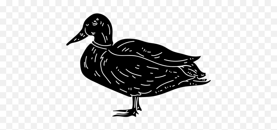 Duck Icon Images - Seaduck Emoji,Duck Emoji Iphone