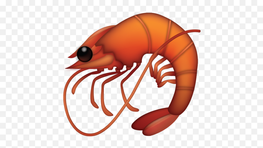 Shrimp Emoji Download Ios - Emoji,Crab Emoji