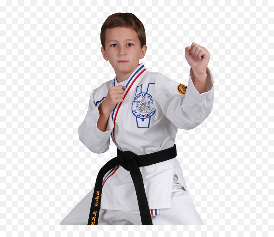 Bully Prevention Classes At Triumph - Boy Emoji,Karate Emoji