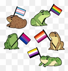 Eli In 2020 Cute Frogs Frog Pictures Cute Memes - Lgbt Frog Emoji,Frog Tea Emoji