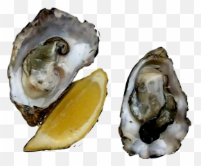 Oysters - Oysters Rockefeller Emoji,Oyster Emoji