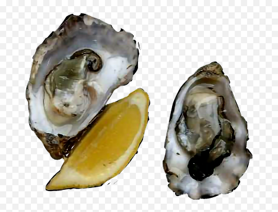 Oysters - Oysters Rockefeller Emoji,Oyster Emoji