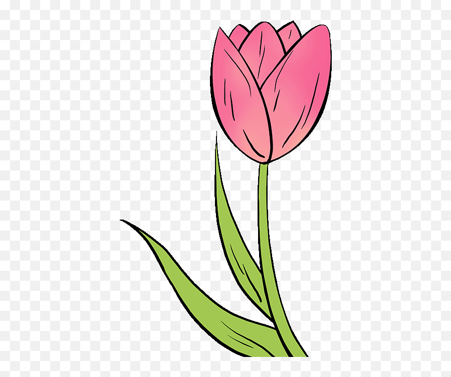 How To Draw A Tulip - Easy Tulip Flower Drawing Emoji,Tulip Emoji