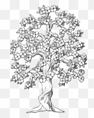 Flowering Tree Cherry Blossoms - Cute Coloring Pages Emoji