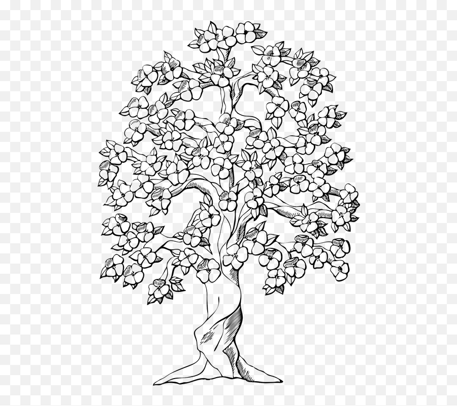 Flowering Tree Cherry Blossoms - Flower Cute Coloring Pages Emoji,Apple Old Emojis