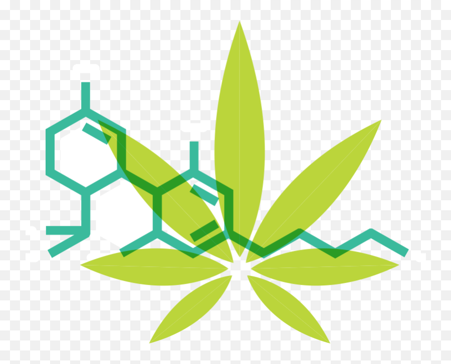What Is Cannabis - Cannabis Emoji,Marijuana Leaf Emoji