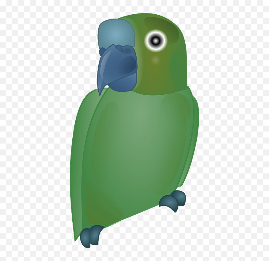 Green Parrot Clipart Free Download Transparent Png Creazilla Parrots