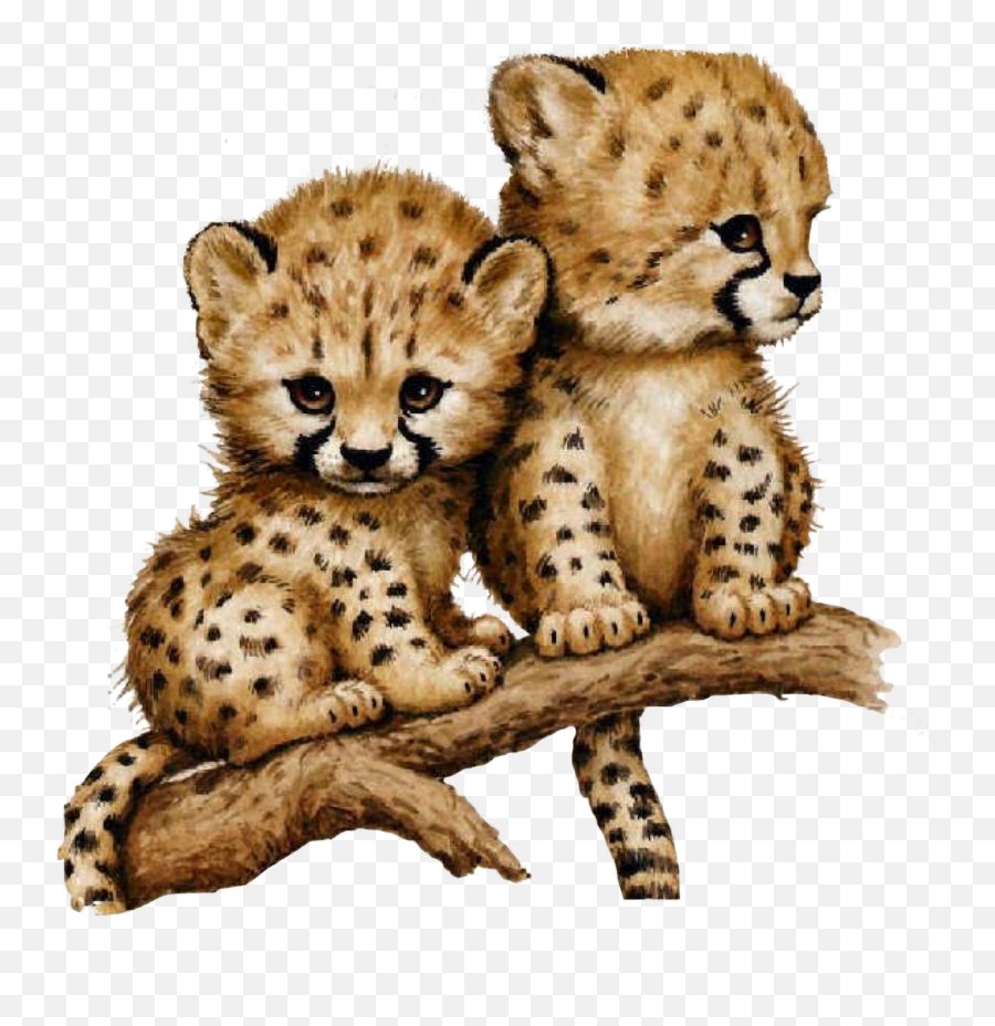 Cheetah Sticker Challenge On Picsart Emoji,Cheetah Emoji