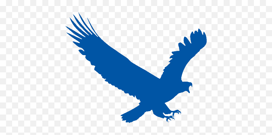 Eagleget Download Manager Free Download - Eagle Icon Png Blue Emoji,Two Birds With One Stone Emoji