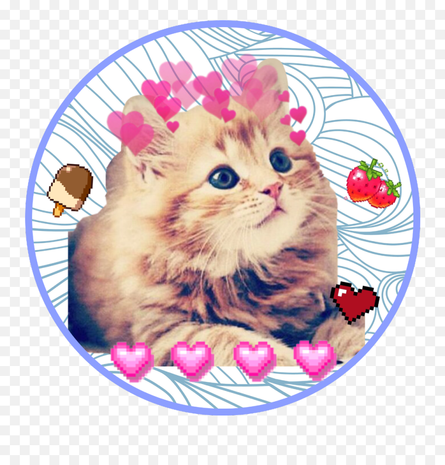 Food Cat Emoticon For Profile - Kitten Emoji,Cat Emoticon
