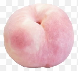 Peach Aesthetic Outfit Emoji
