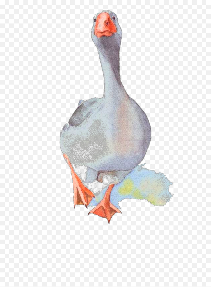 Ftestickers Scduck Duck Goose Watercolor - Goose Painting Emoji,Goose Emoji
