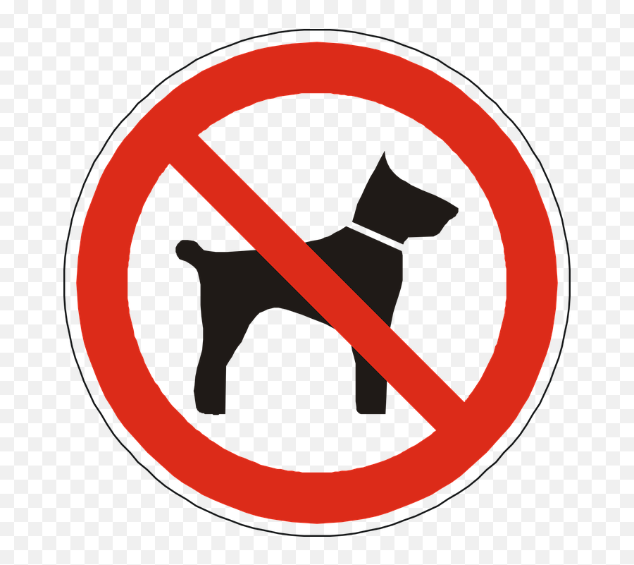Free Allowed Brain Images - No Animal Abuse Sign Emoji,Celebrate Emoji