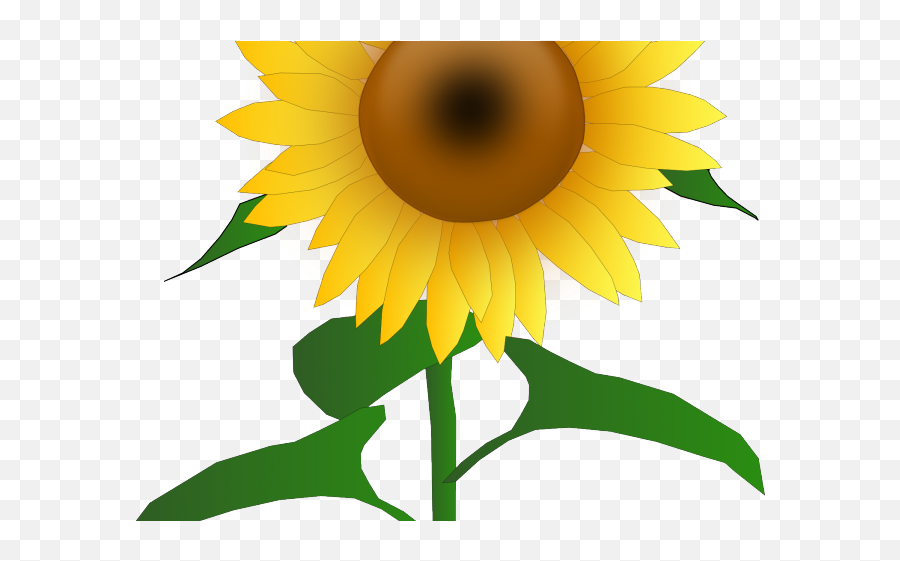 Sunflower Clipart September - Png Download Full Size Sunflower Clipart Emoji,Sunflower Emoji Transparent