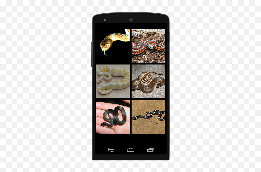 Download Snake Sounds For Android 422 - Smartphone Emoji,Snake Emoji Android