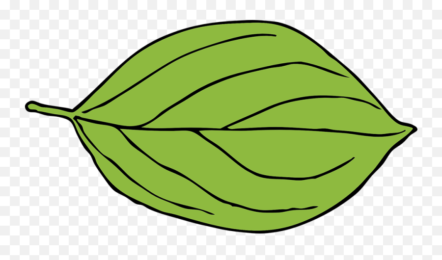 Free Green Apple Apple Illustrations - Apple Tree Leaf Clipart Emoji,Knife Emoji